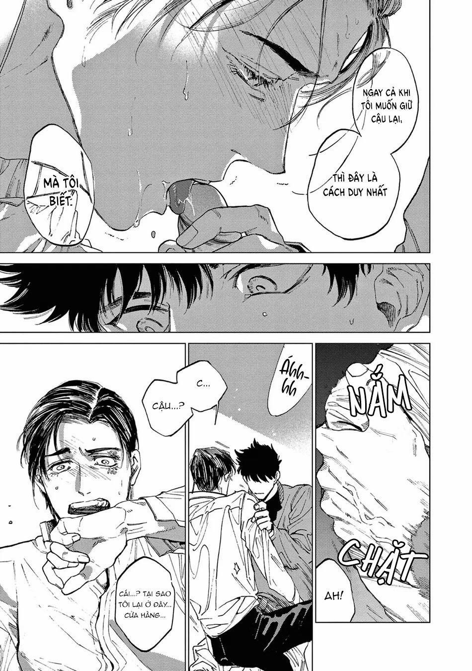 Đấu Giá Hikari Tokyo 4 trang 18