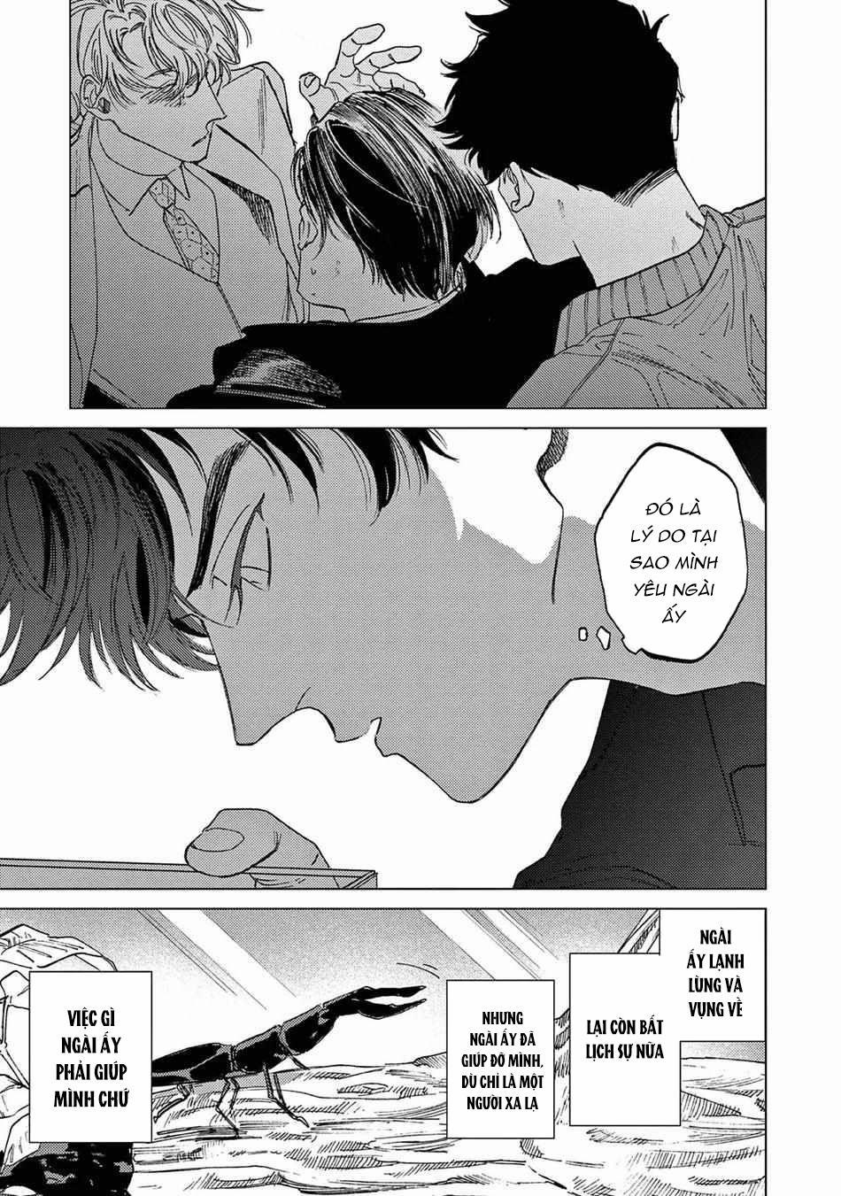 Đấu Giá Hikari Tokyo 5 trang 16