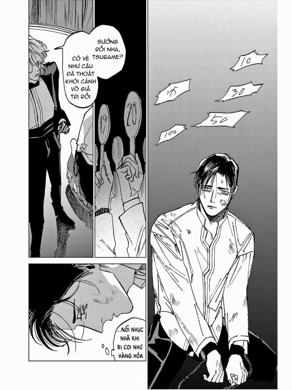 Đấu Giá Hikari Tokyo 6 trang 2