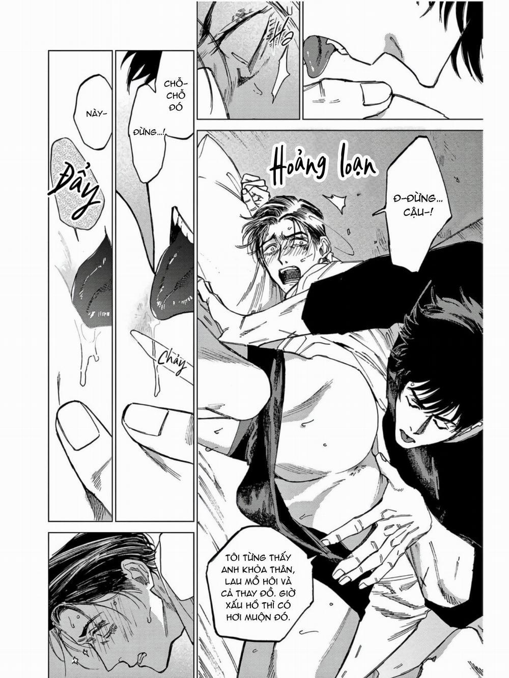 Đấu Giá Hikari Tokyo 6 trang 21