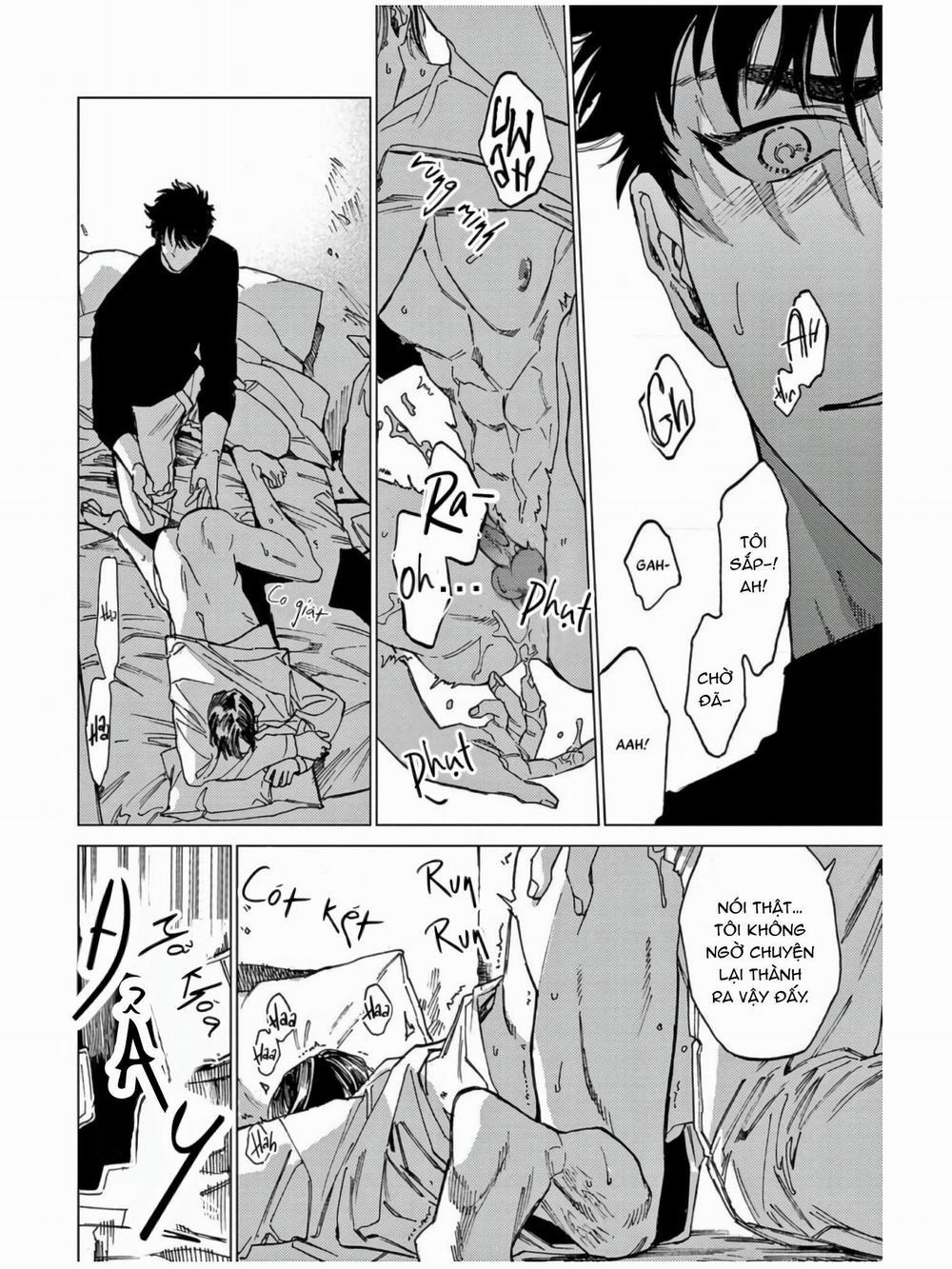 Đấu Giá Hikari Tokyo 6 trang 25