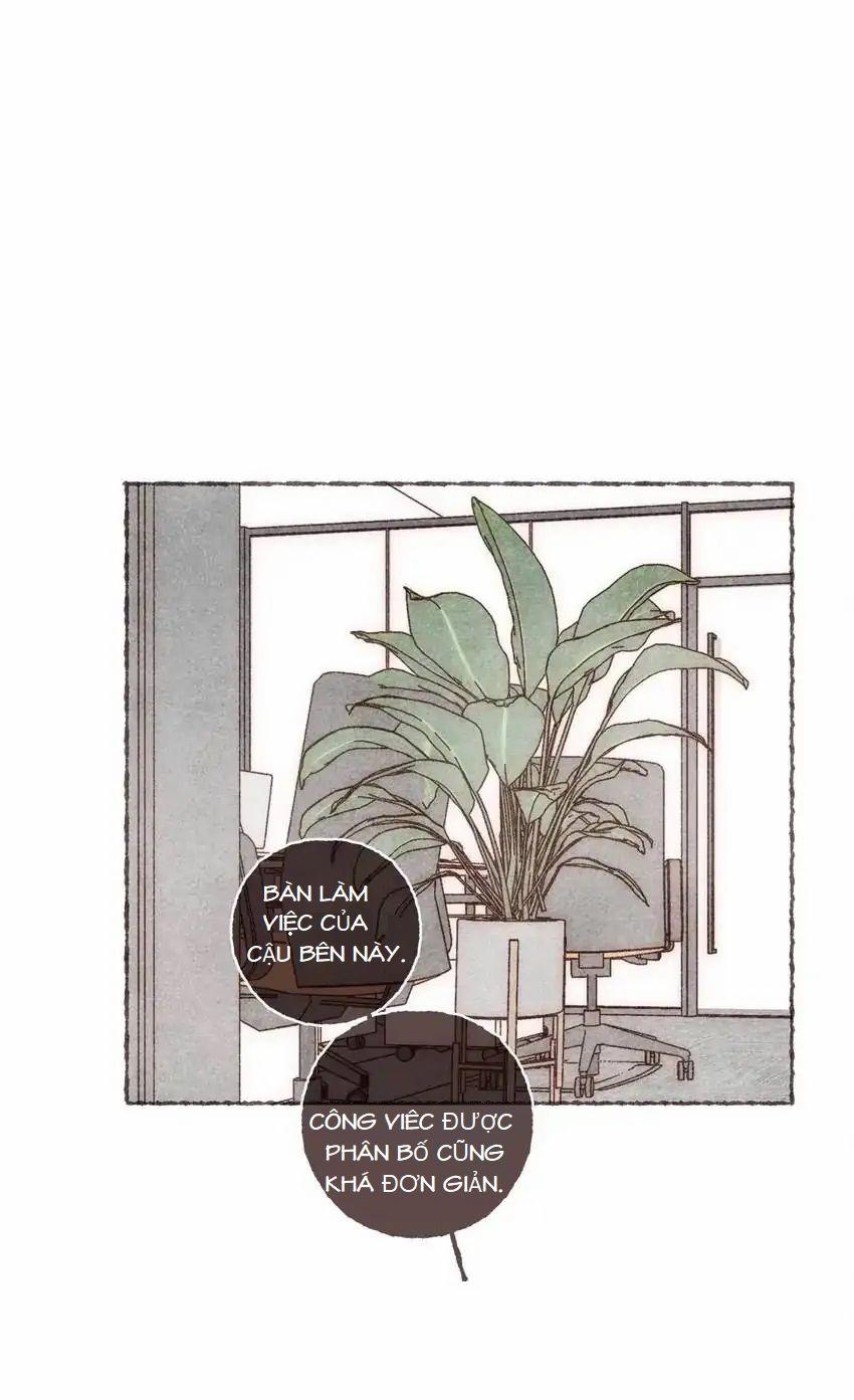 Dấu Khắc Nơi Chân Mày 12 trang 0