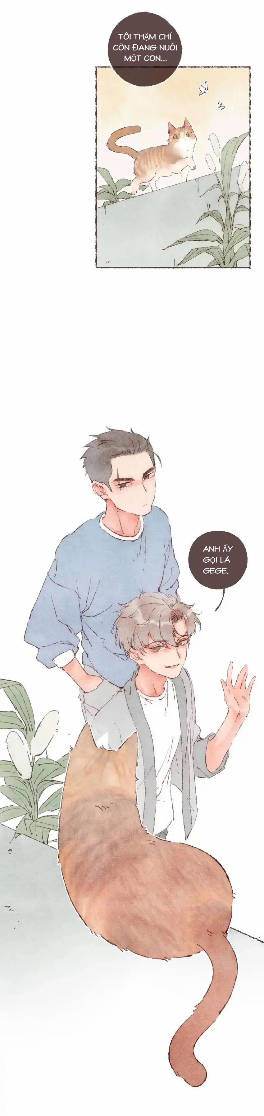 Dấu Khắc Nơi Chân Mày 18 trang 24