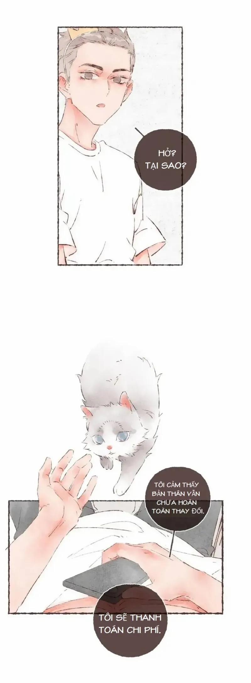 Dấu Khắc Nơi Chân Mày 33 trang 20