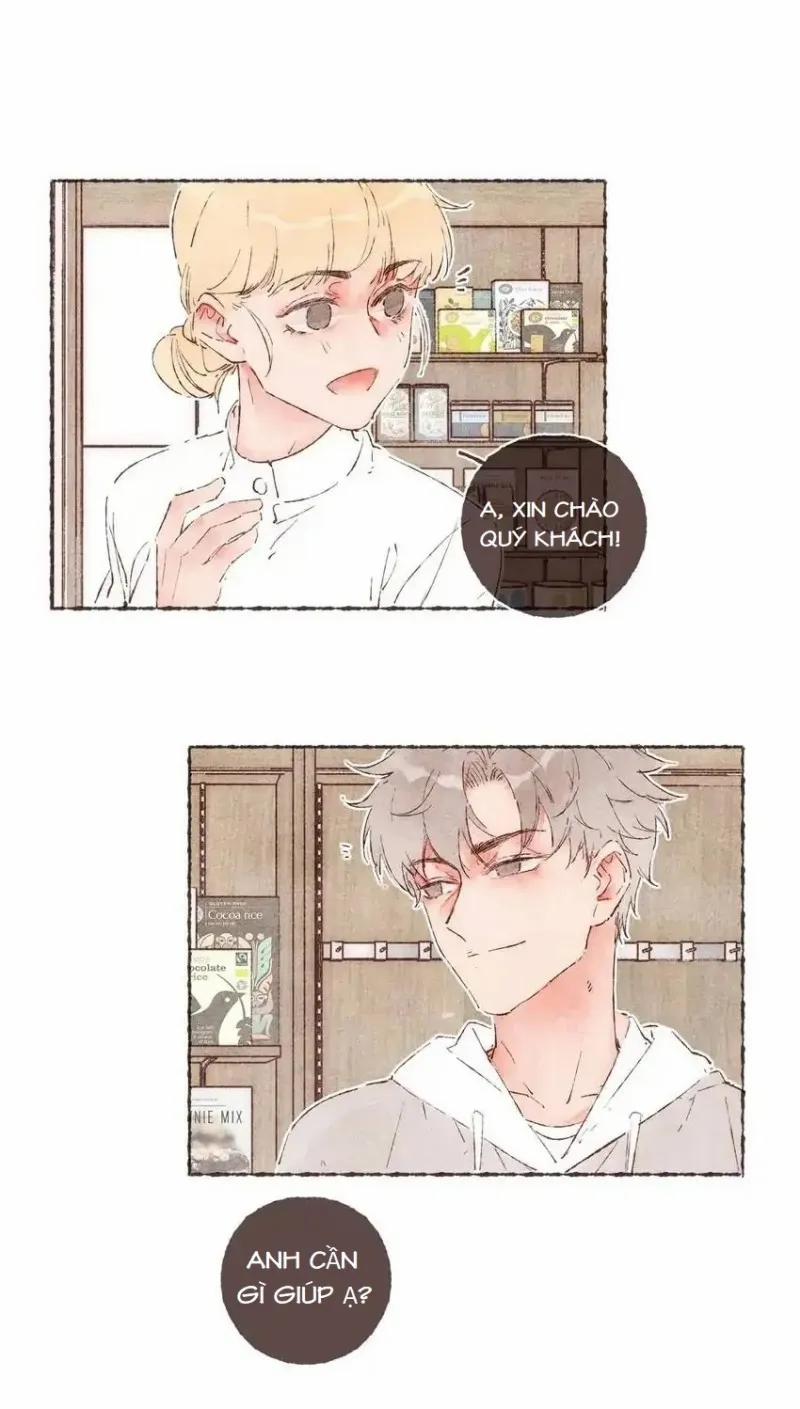 Dấu Khắc Nơi Chân Mày 37 trang 2