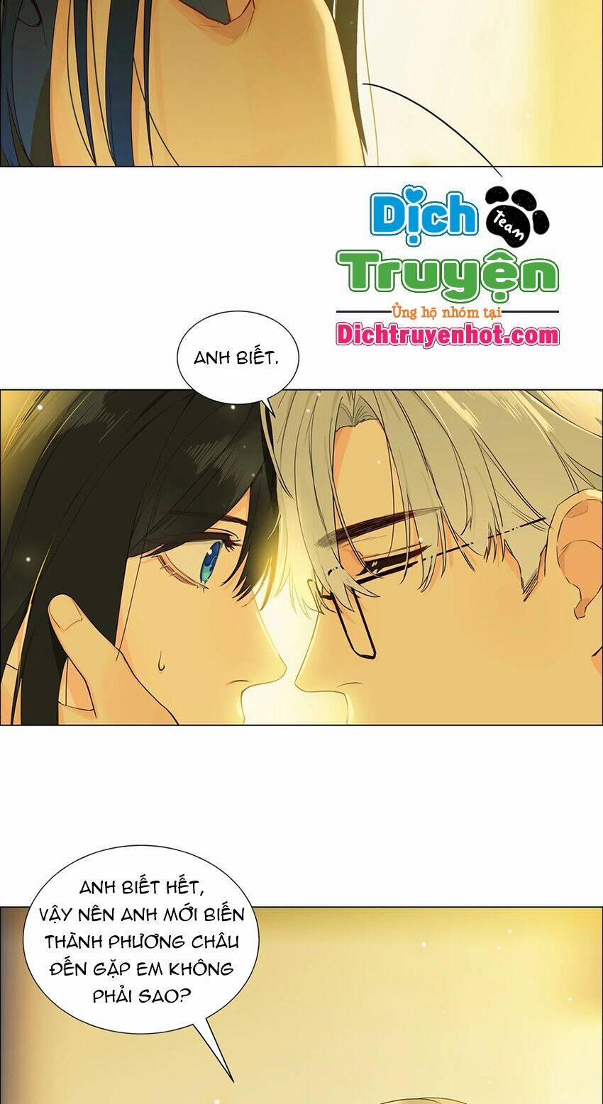 Đâu Phải Tại Tui Muốn Giả Gái 104 trang 9