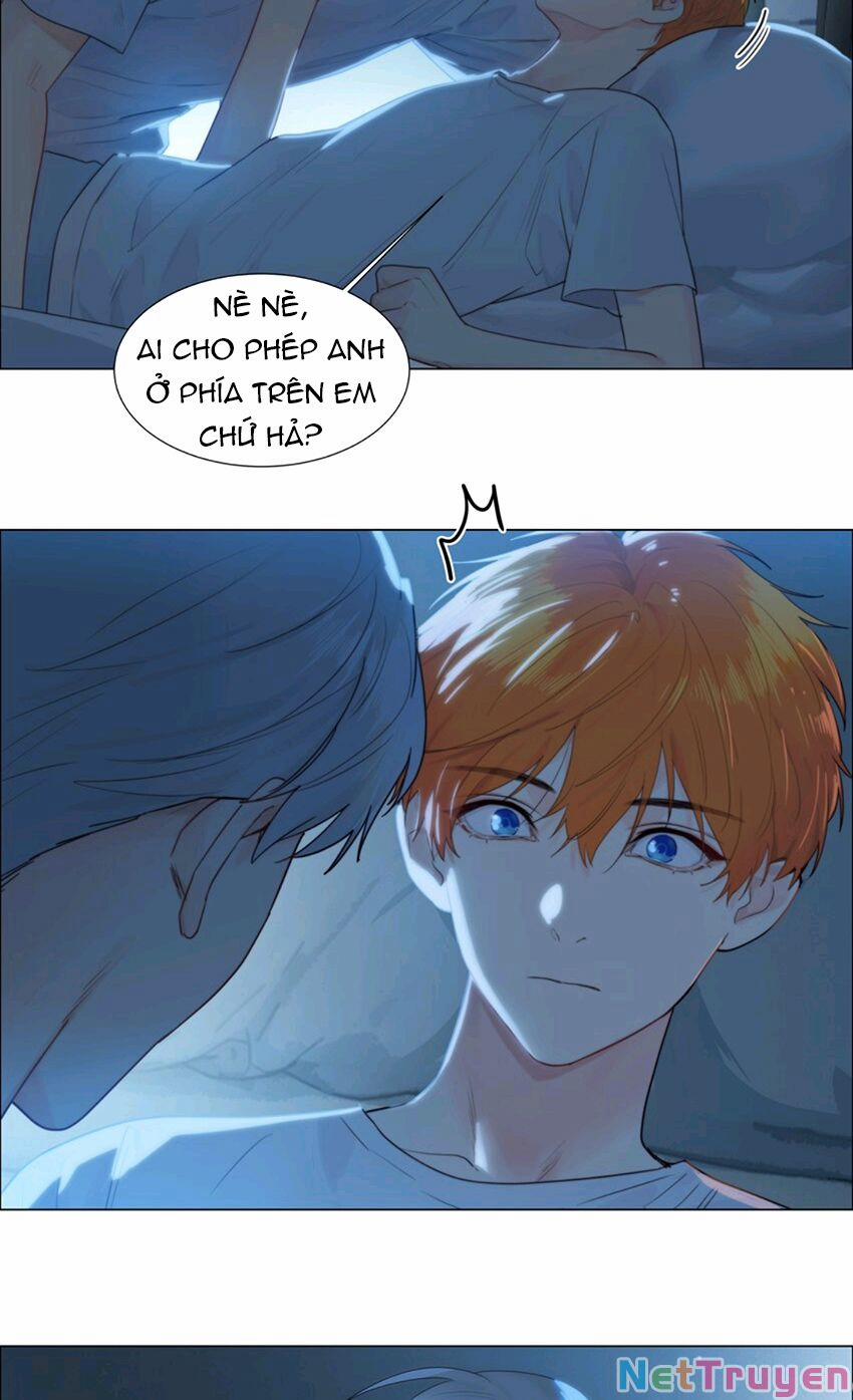 Đâu Phải Tại Tui Muốn Giả Gái 114 trang 5