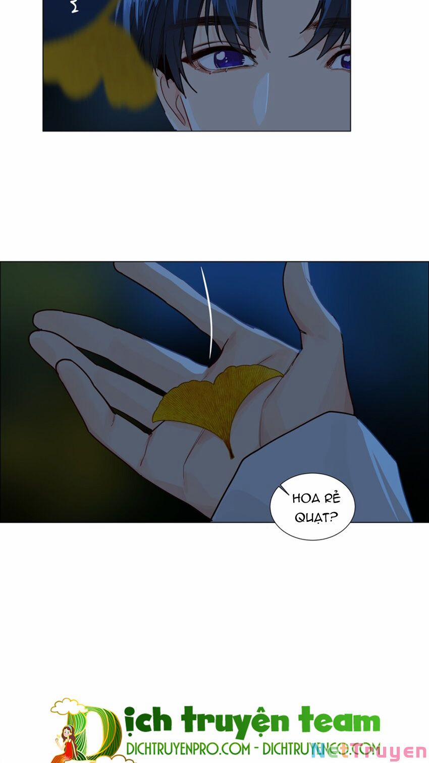 Đâu Phải Tại Tui Muốn Giả Gái 116 trang 12