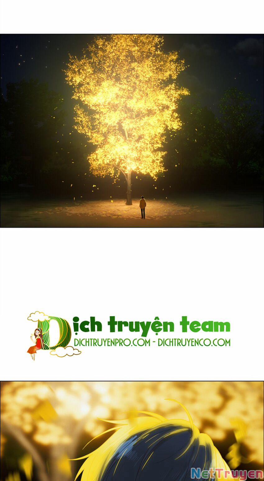 Đâu Phải Tại Tui Muốn Giả Gái 116 trang 14