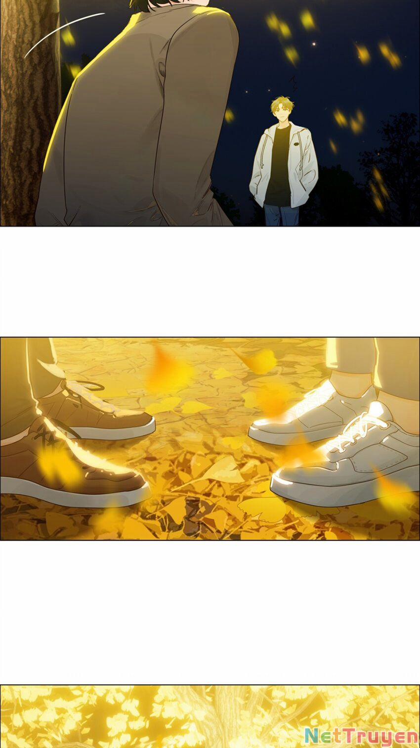 Đâu Phải Tại Tui Muốn Giả Gái 116 trang 16