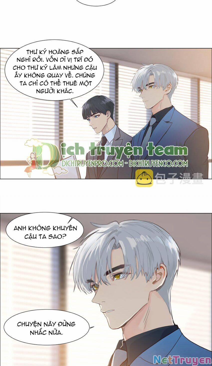 Đâu Phải Tại Tui Muốn Giả Gái 117 trang 12