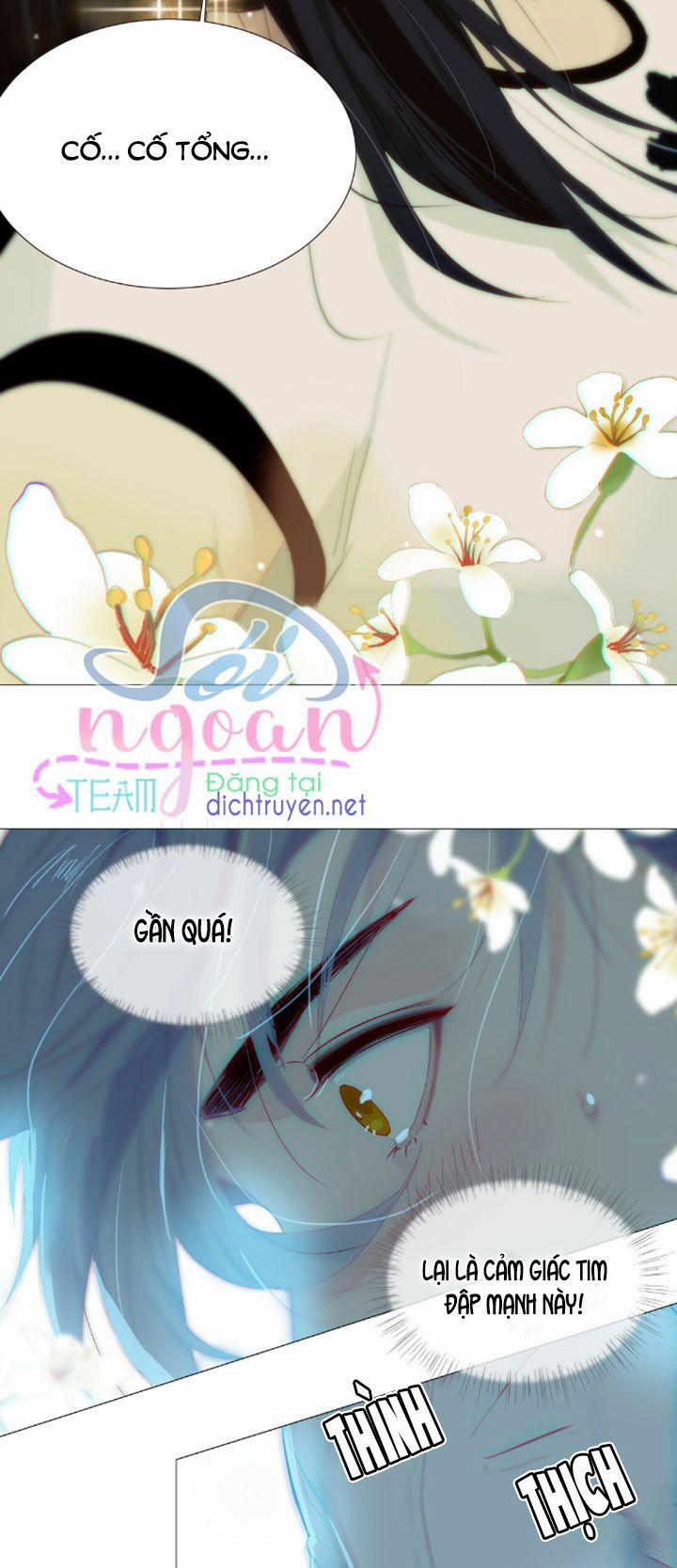 Đâu Phải Tại Tui Muốn Giả Gái 20 trang 17