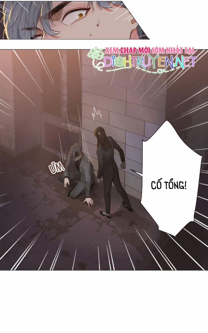 Đâu Phải Tại Tui Muốn Giả Gái 23 trang 33