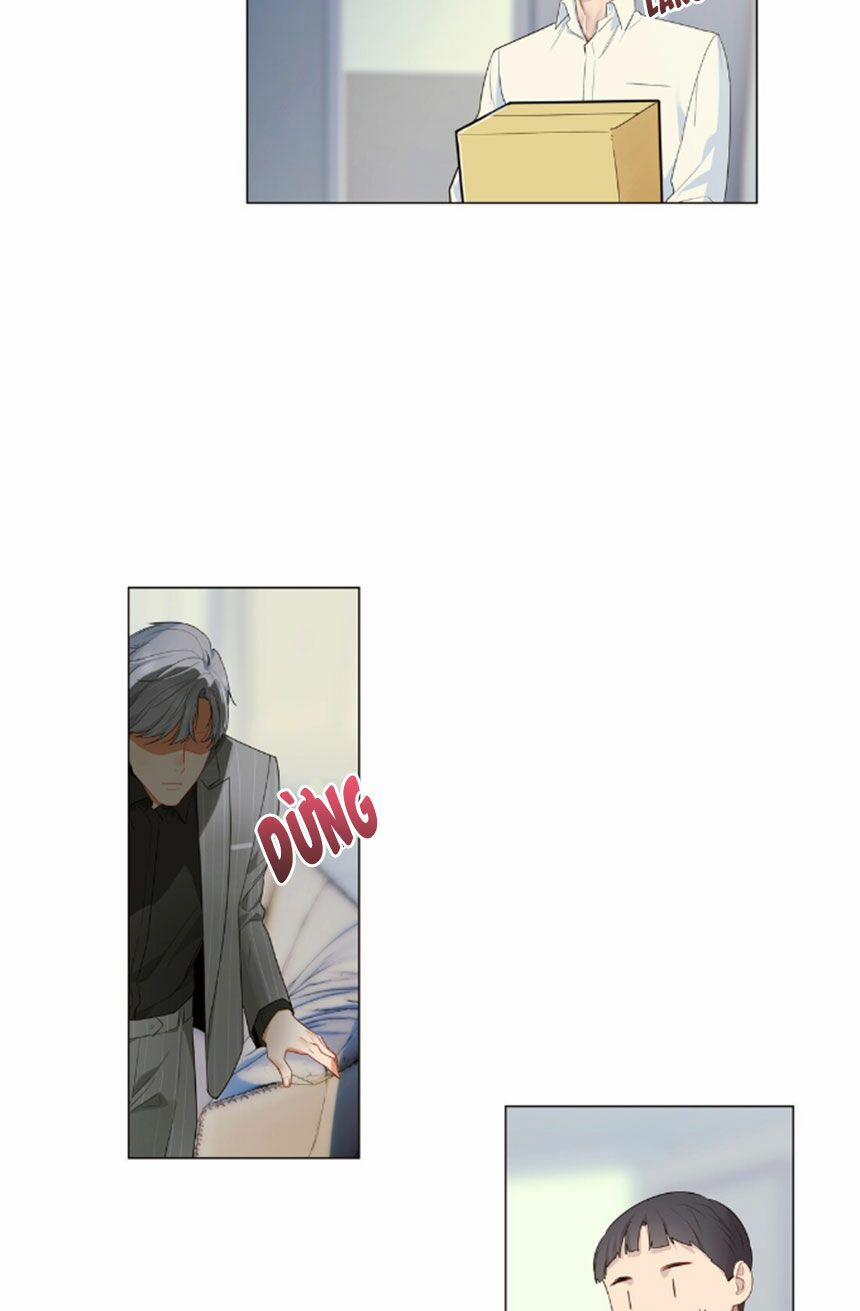 Đâu Phải Tại Tui Muốn Giả Gái 28 trang 19