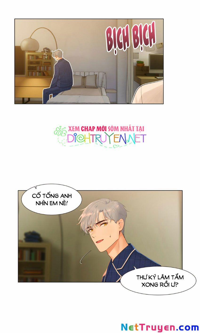 Đâu Phải Tại Tui Muốn Giả Gái 31 trang 10