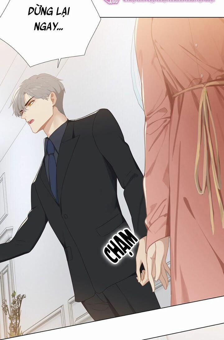 Đâu Phải Tại Tui Muốn Giả Gái 4 trang 19