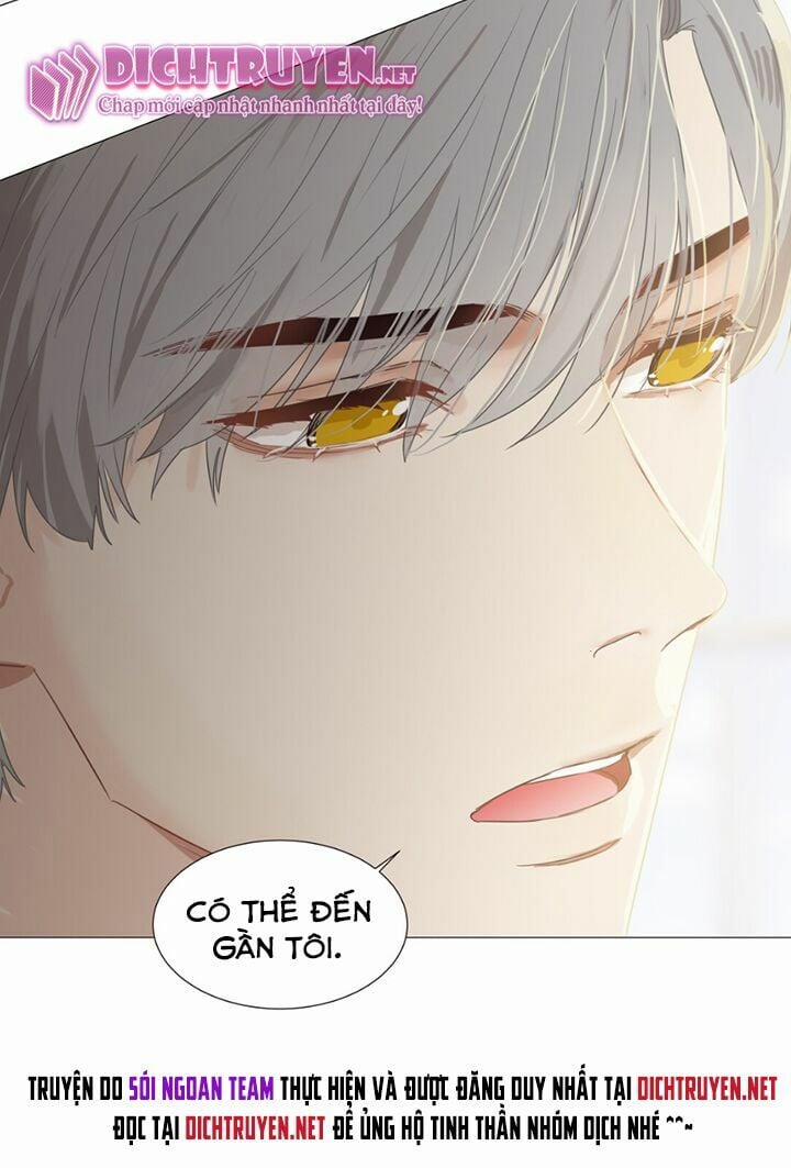 Đâu Phải Tại Tui Muốn Giả Gái 5 trang 2