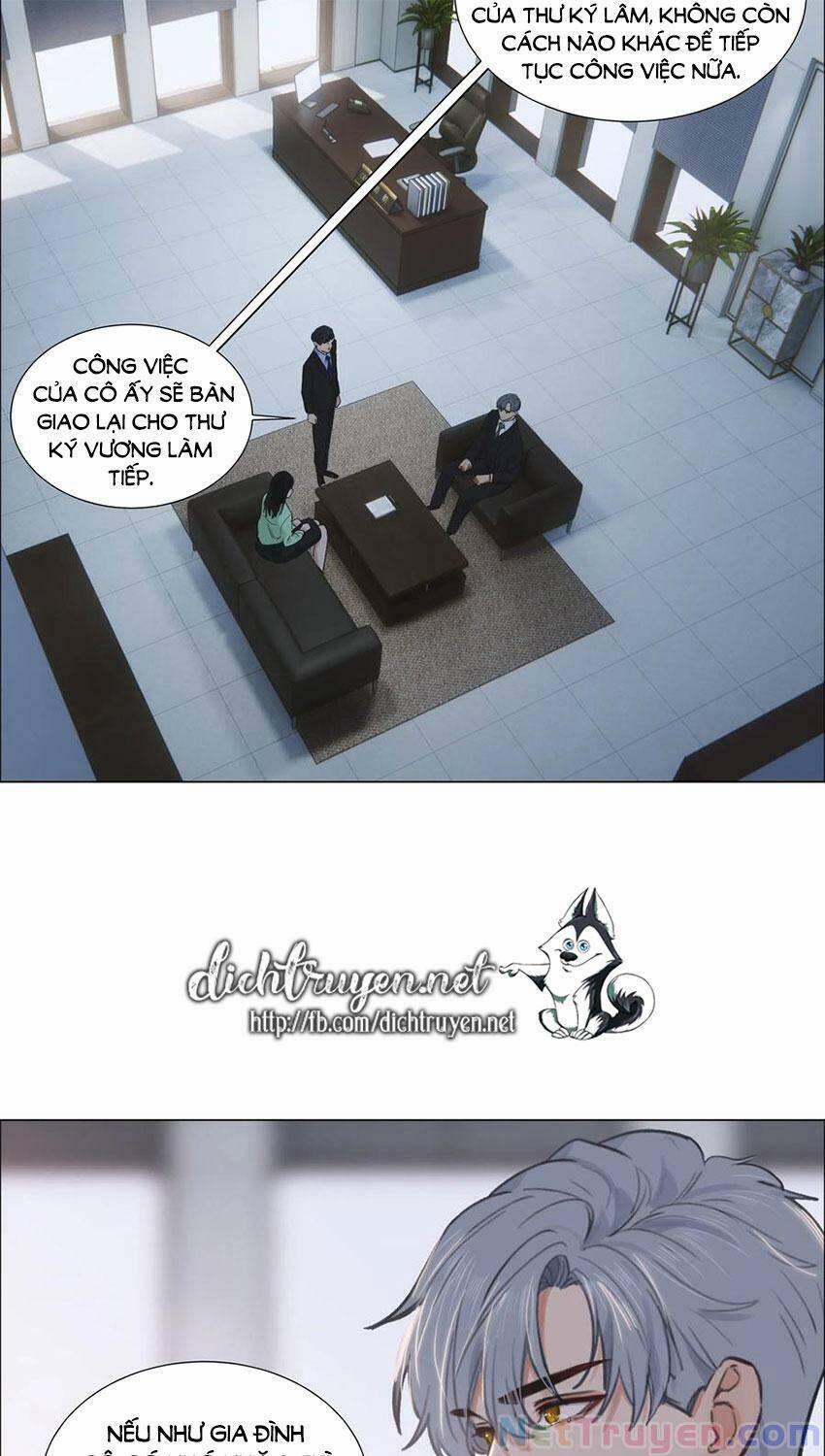 Đâu Phải Tại Tui Muốn Giả Gái 53 trang 17