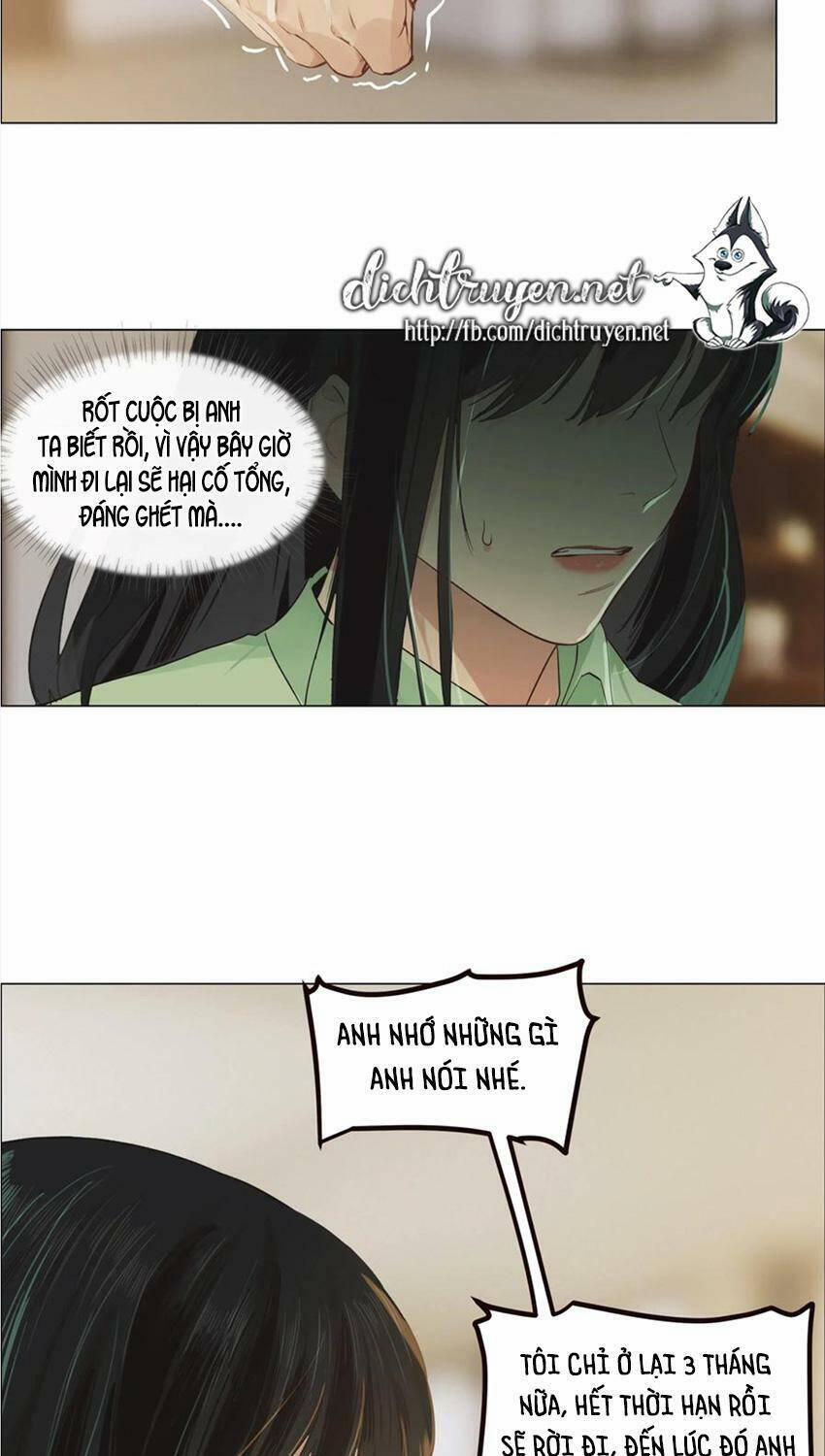 Đâu Phải Tại Tui Muốn Giả Gái 54 trang 22