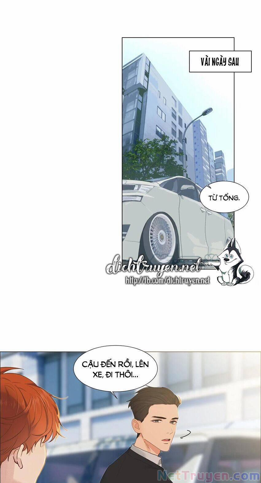 Đâu Phải Tại Tui Muốn Giả Gái 55 trang 21