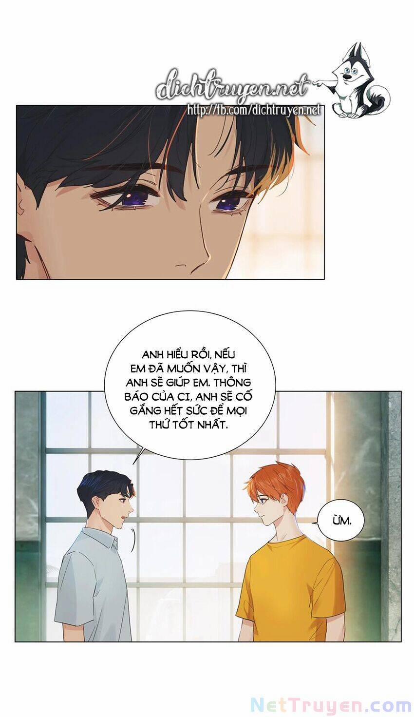 Đâu Phải Tại Tui Muốn Giả Gái 56 trang 13