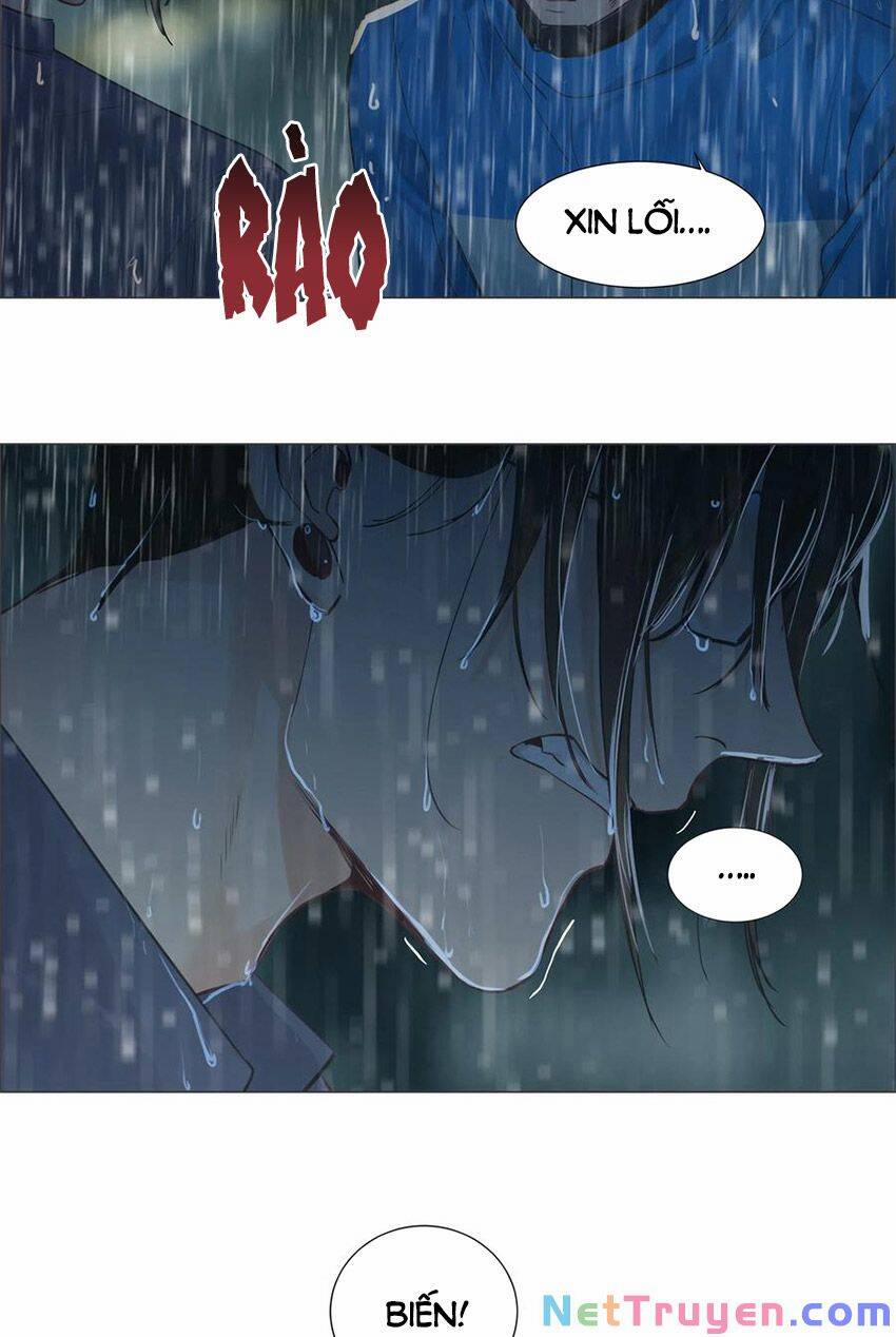 Đâu Phải Tại Tui Muốn Giả Gái 65 trang 13