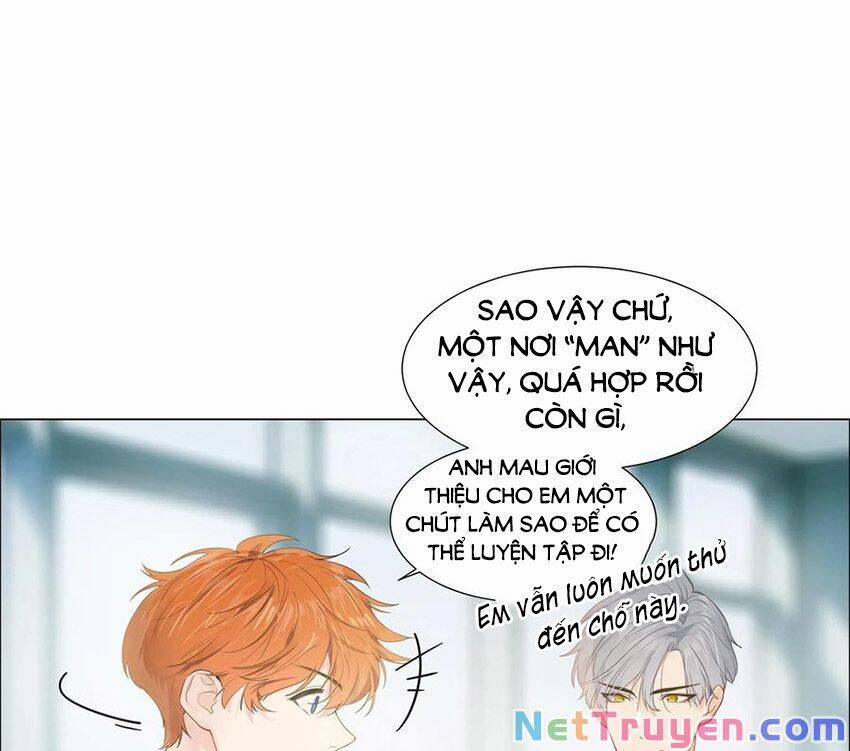 Đâu Phải Tại Tui Muốn Giả Gái 65 trang 31