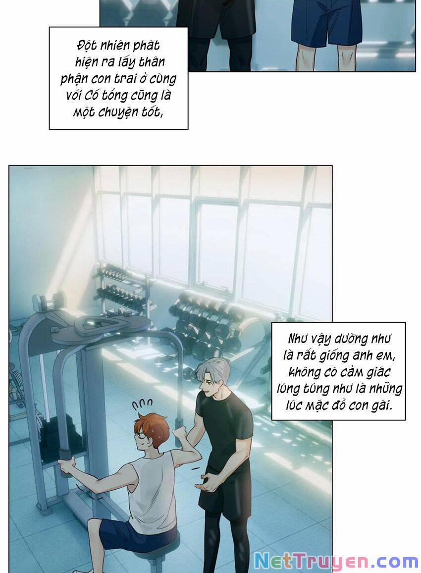 Đâu Phải Tại Tui Muốn Giả Gái 65 trang 33