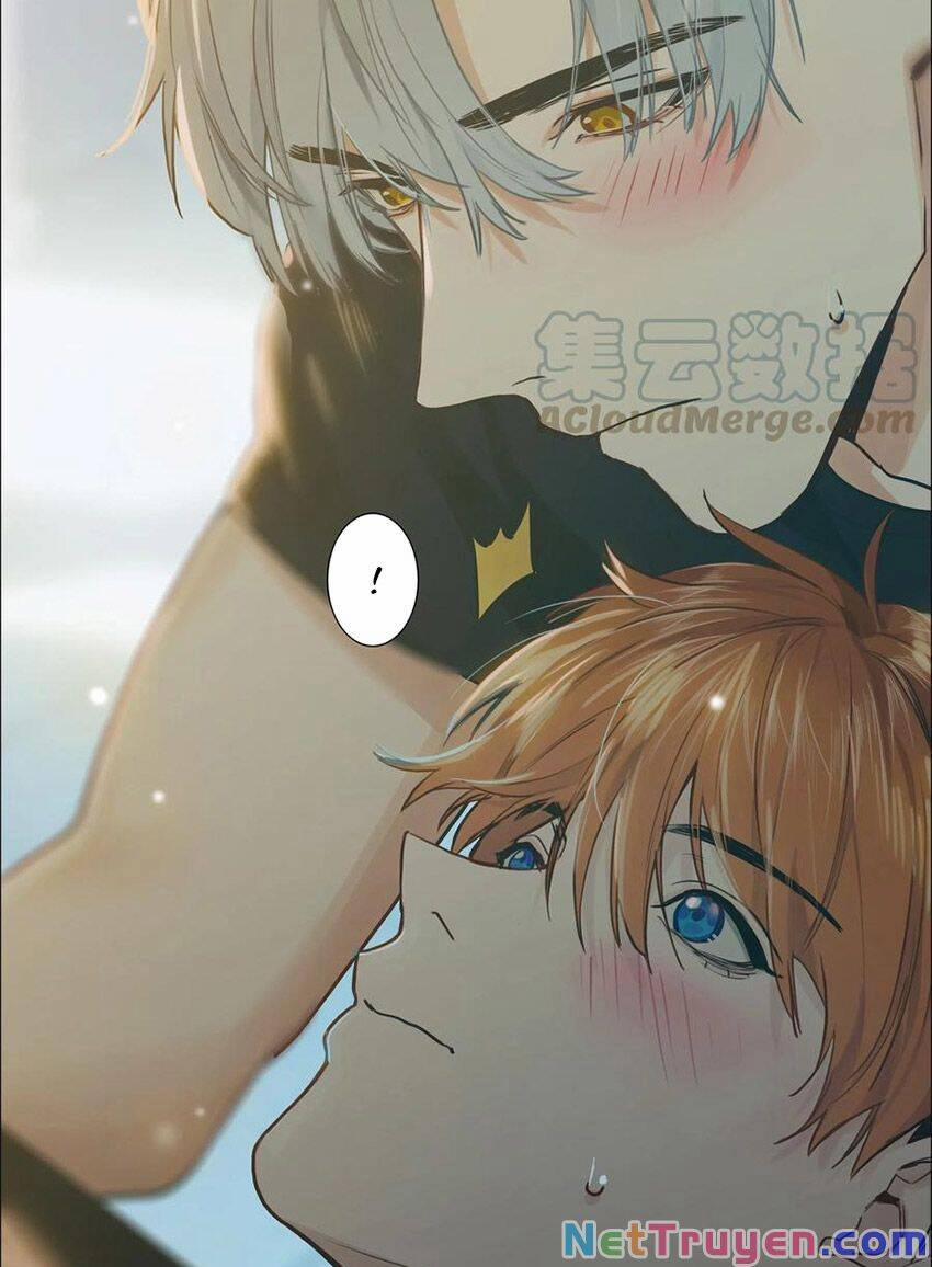 Đâu Phải Tại Tui Muốn Giả Gái 65 trang 36