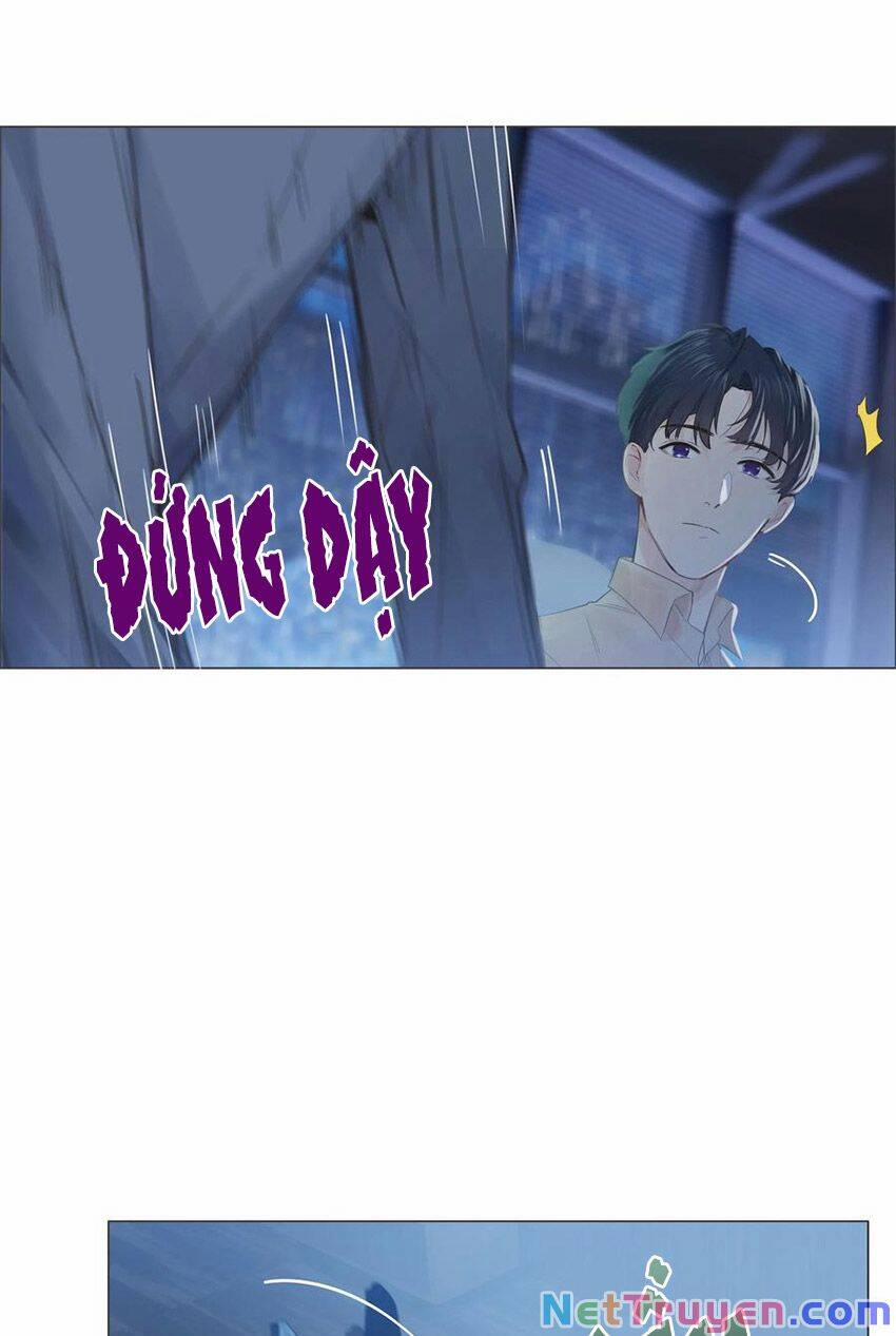 Đâu Phải Tại Tui Muốn Giả Gái 65 trang 7