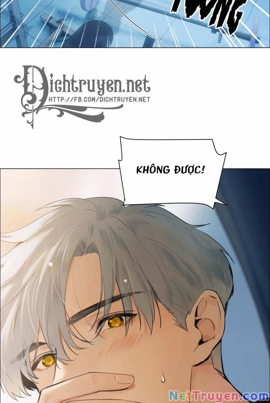 Đâu Phải Tại Tui Muốn Giả Gái 66 trang 11