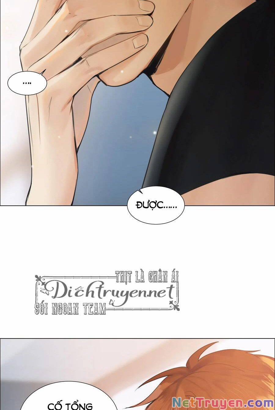 Đâu Phải Tại Tui Muốn Giả Gái 66 trang 12