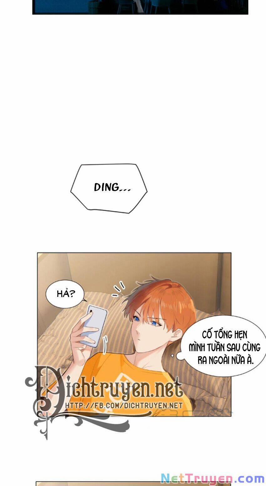 Đâu Phải Tại Tui Muốn Giả Gái 67 trang 11