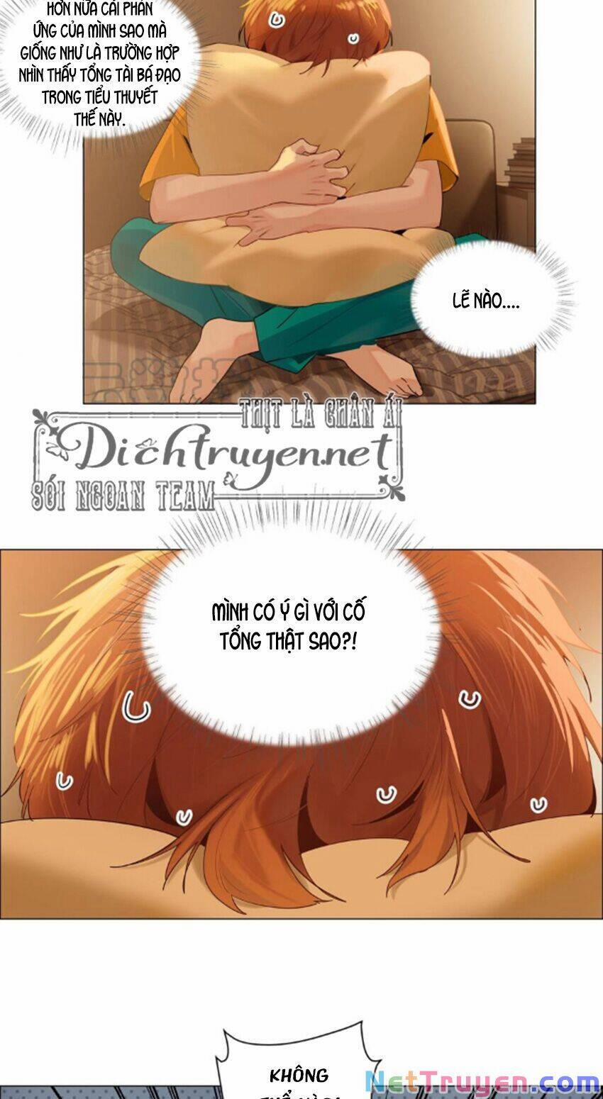 Đâu Phải Tại Tui Muốn Giả Gái 67 trang 3