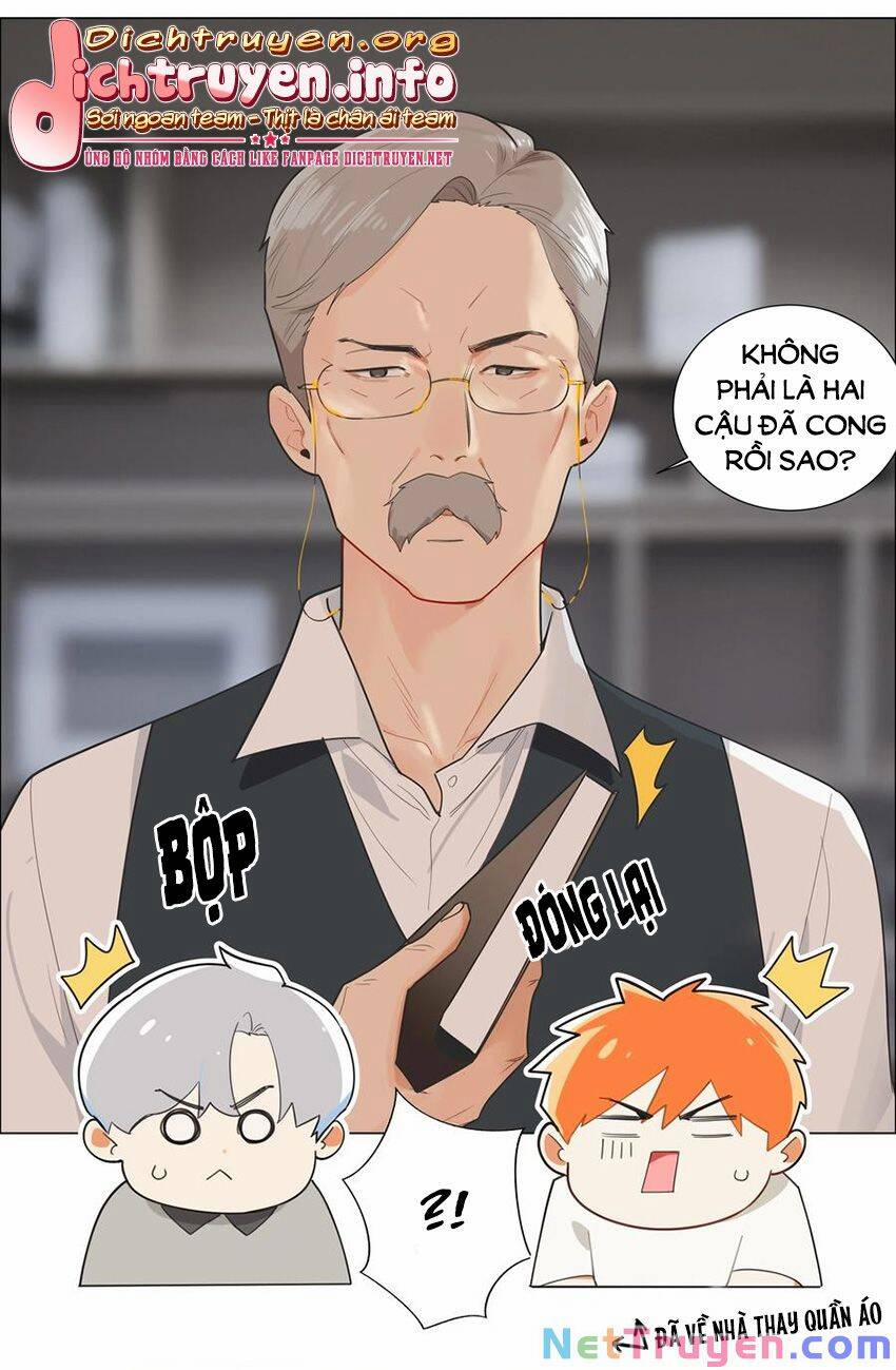 Đâu Phải Tại Tui Muốn Giả Gái 69 trang 31