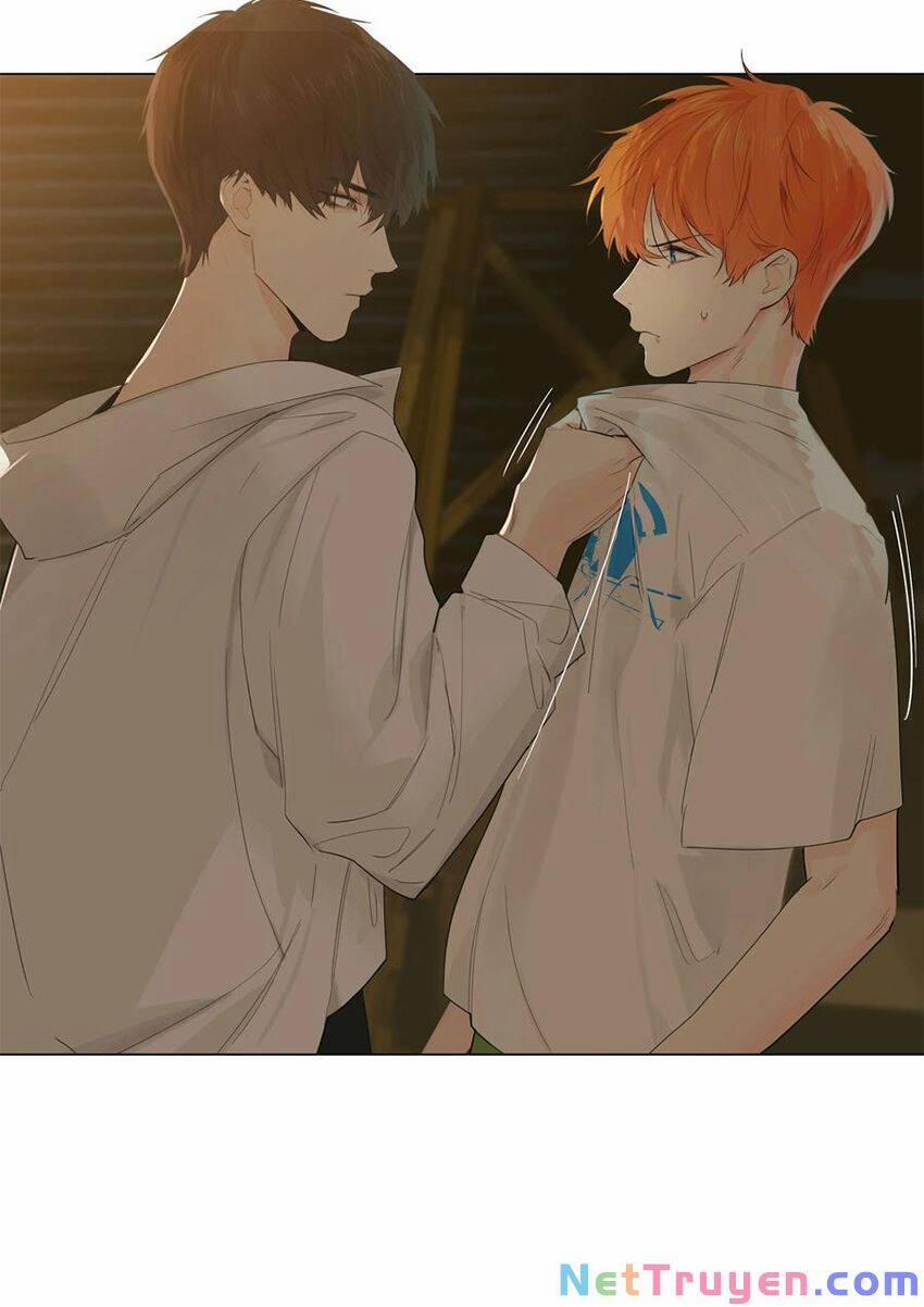 Đâu Phải Tại Tui Muốn Giả Gái 71 trang 16