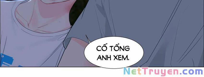 Đâu Phải Tại Tui Muốn Giả Gái 71 trang 40