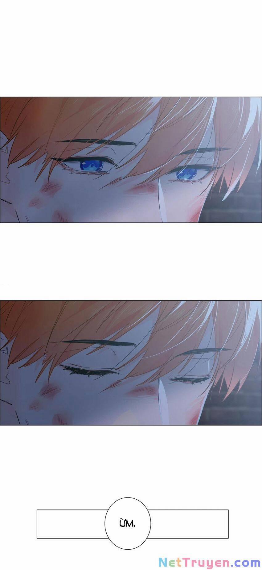 Đâu Phải Tại Tui Muốn Giả Gái 71 trang 45