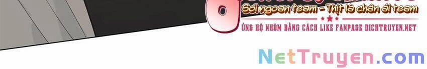 Đâu Phải Tại Tui Muốn Giả Gái 71 trang 8