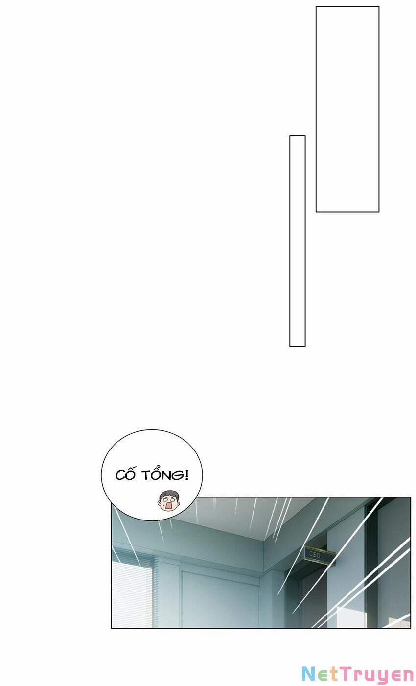 Đâu Phải Tại Tui Muốn Giả Gái 74 trang 5