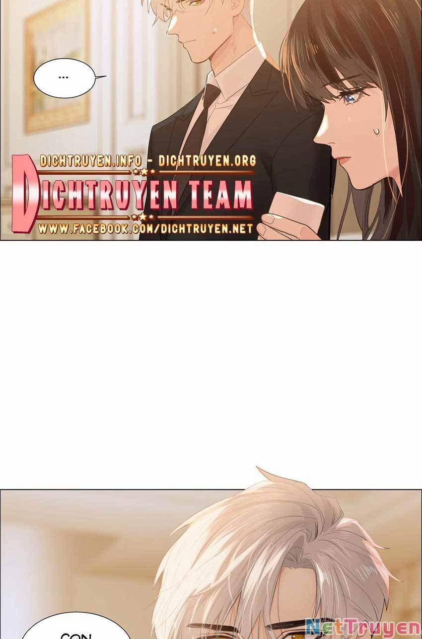 Đâu Phải Tại Tui Muốn Giả Gái 76 trang 47