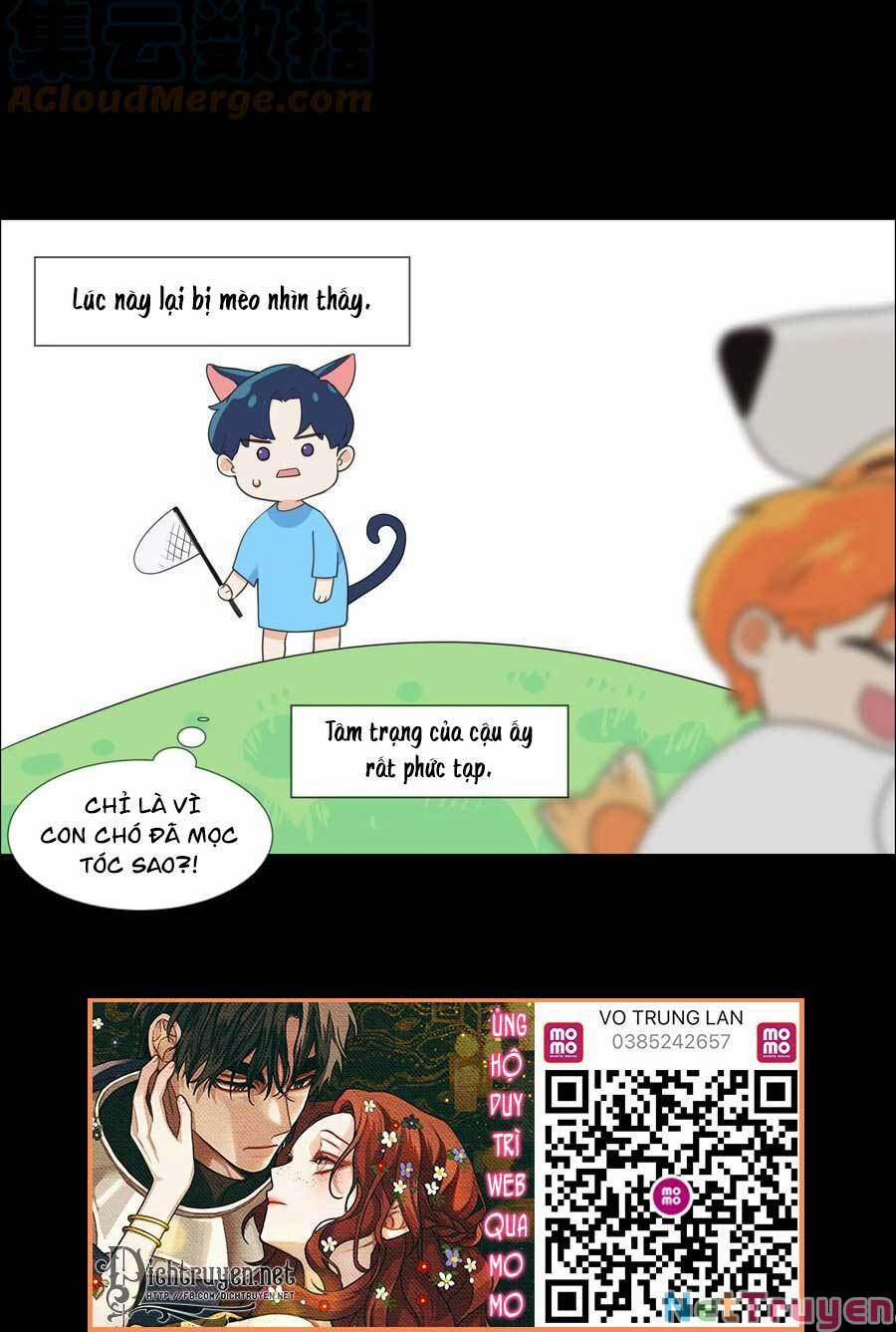 Đâu Phải Tại Tui Muốn Giả Gái 78.5 trang 10