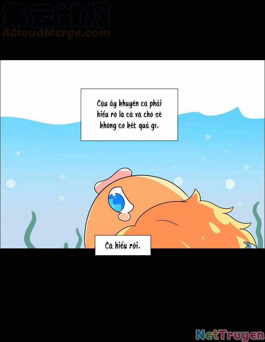 Đâu Phải Tại Tui Muốn Giả Gái 78.5 trang 13