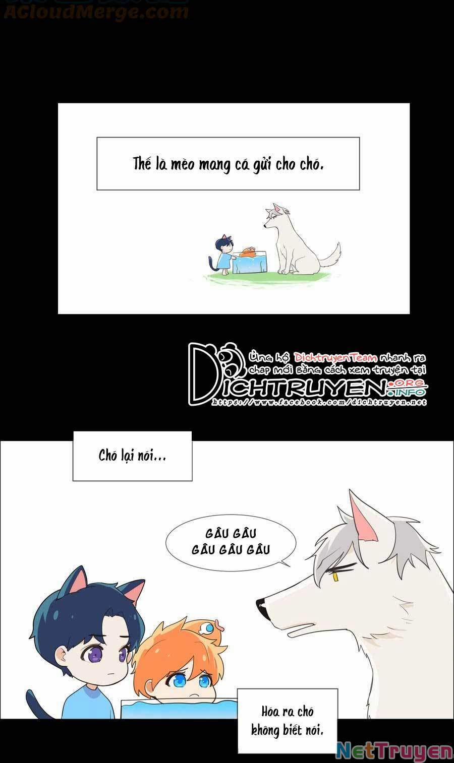 Đâu Phải Tại Tui Muốn Giả Gái 78.5 trang 15