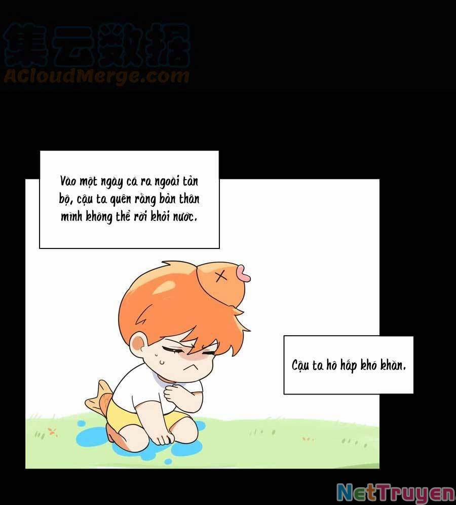 Đâu Phải Tại Tui Muốn Giả Gái 78.5 trang 4