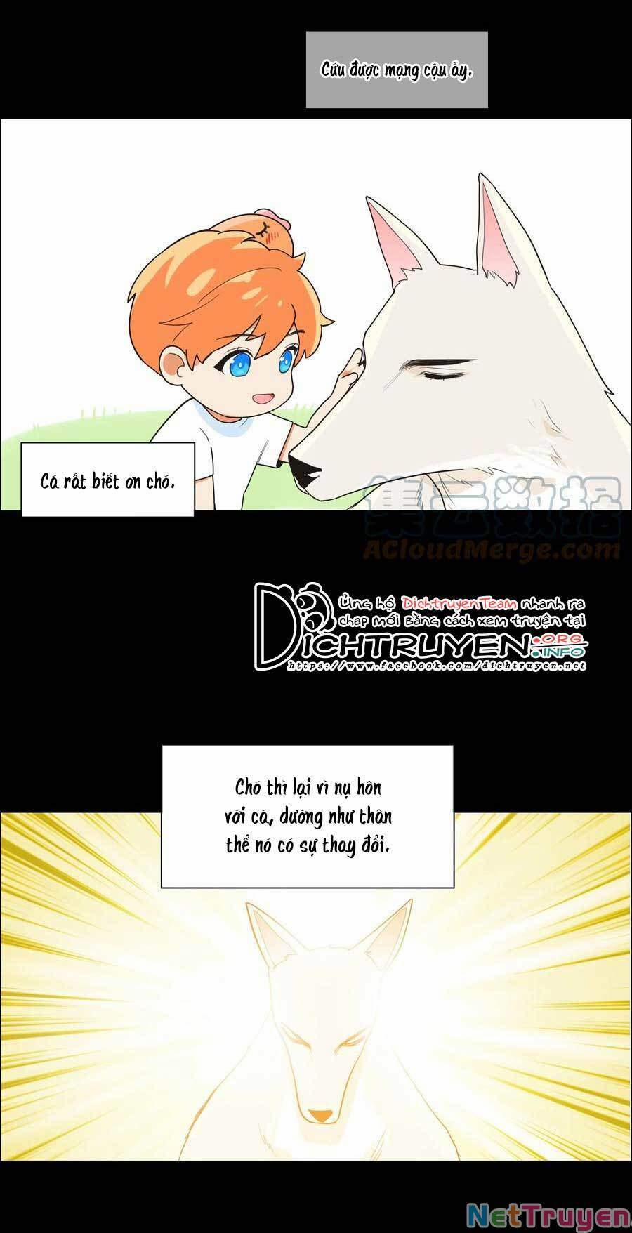 Đâu Phải Tại Tui Muốn Giả Gái 78.5 trang 6