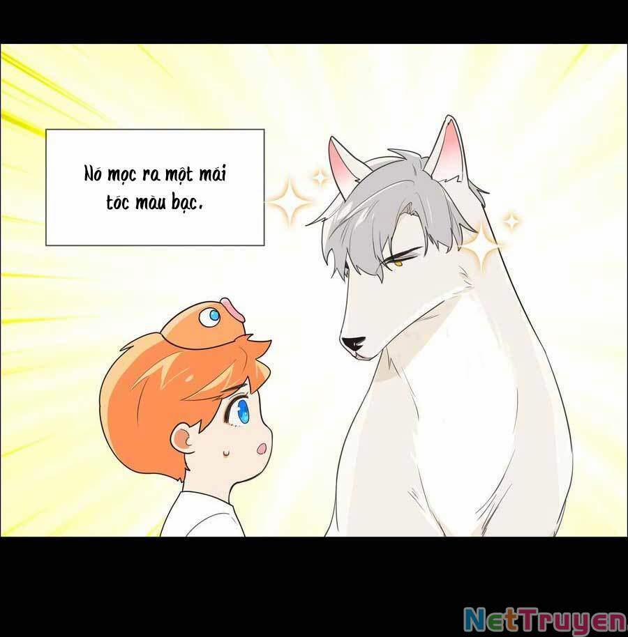 Đâu Phải Tại Tui Muốn Giả Gái 78.5 trang 8