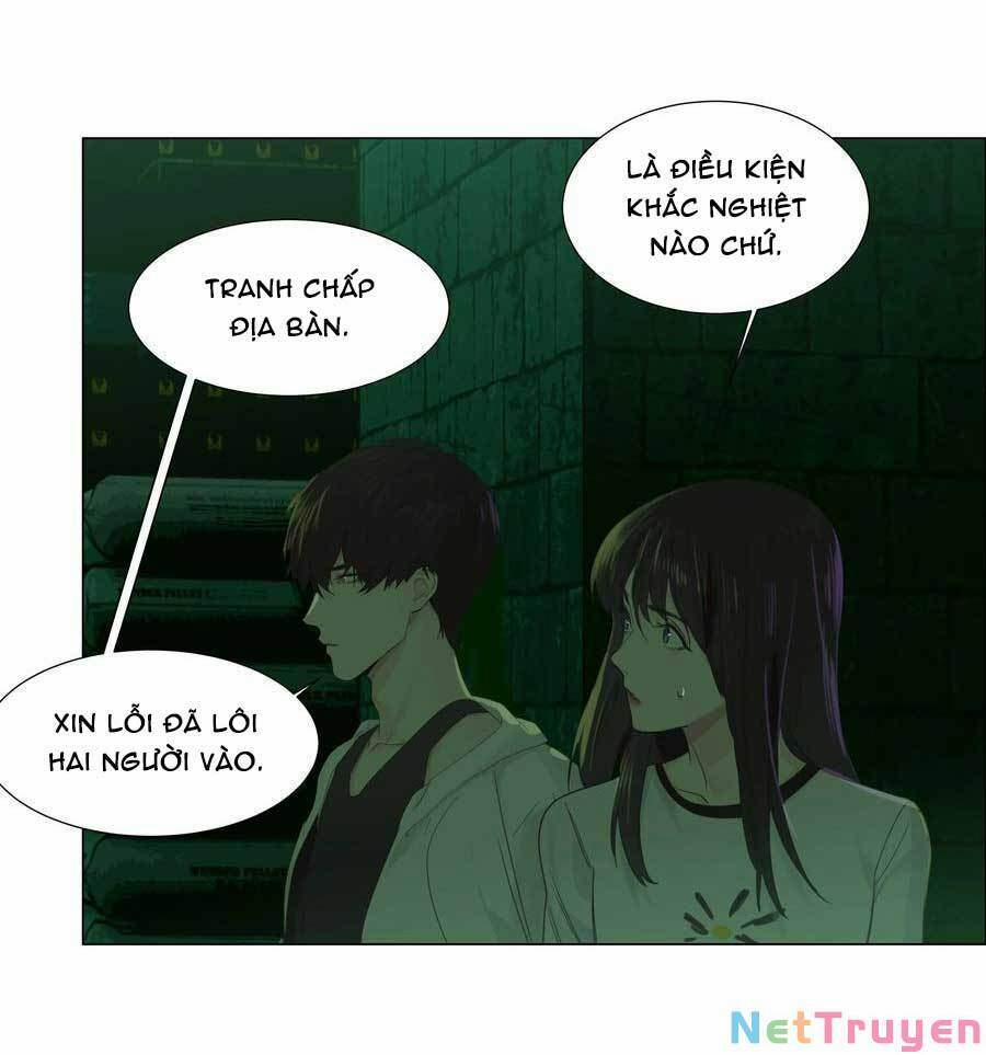 Đâu Phải Tại Tui Muốn Giả Gái 78 trang 23