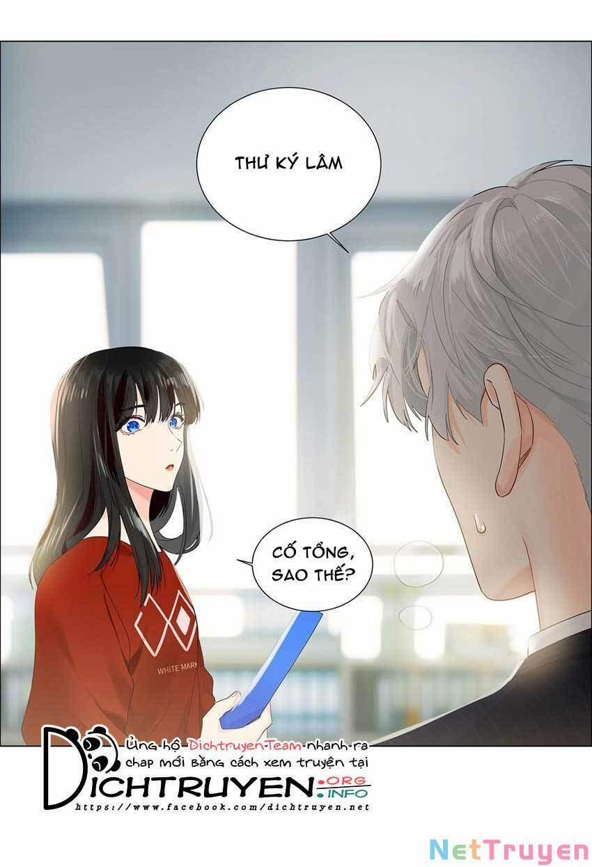 Đâu Phải Tại Tui Muốn Giả Gái 80 trang 19