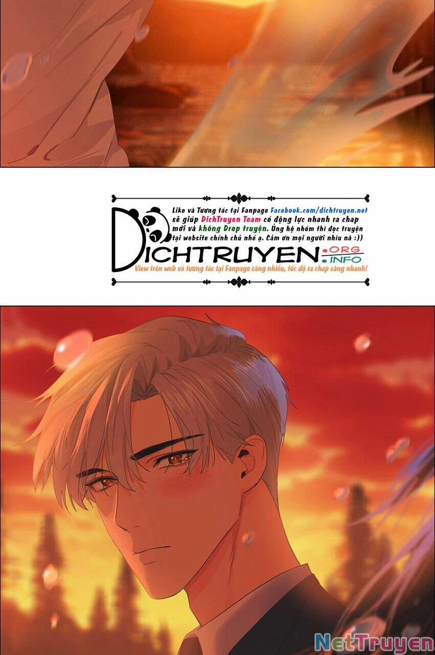 Đâu Phải Tại Tui Muốn Giả Gái 81 trang 36